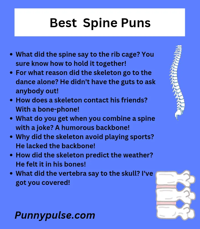 160+ Best Spine Puns That’ll Give You a Laugh on the Backbone