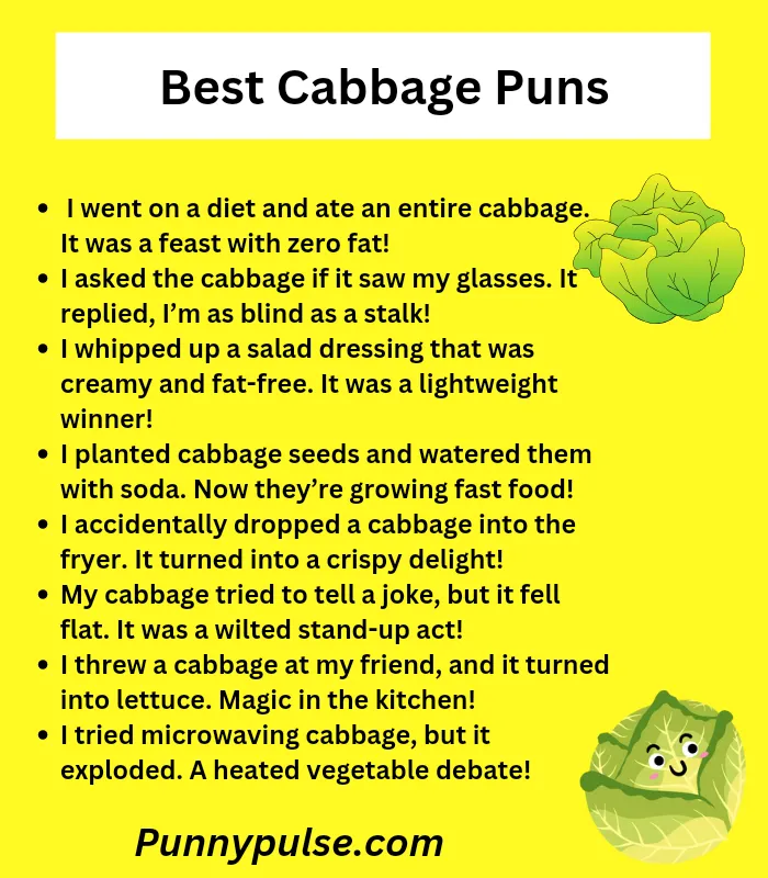 193+ Hilarious Cabbage Puns to Leaf You Laughing and Rolling